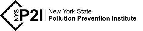 NYSP2I
