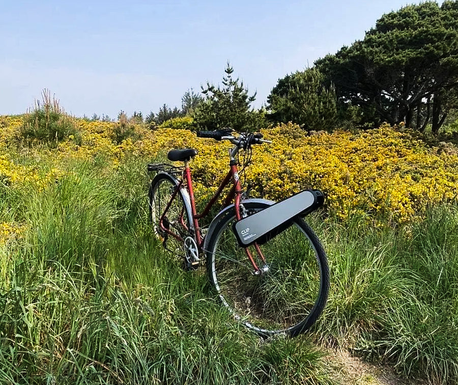 A bike with CLIP parked in tall grass and yellow flowers